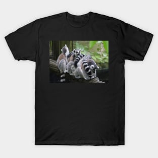 I'll Be Look-Out! T-Shirt